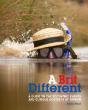 Brit Different - Preview