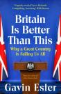 Britain Is Better Than This - Preview