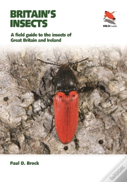 Capa do artigo Britain'S Insects