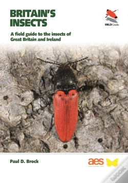 Capa do artigo Britain'S Insects