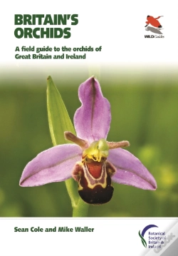 Capa do artigo Britain'S Orchids
