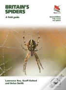 Britain'S Spiders