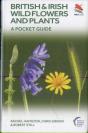 British And Irish Wild Flowers And Plants - Preview