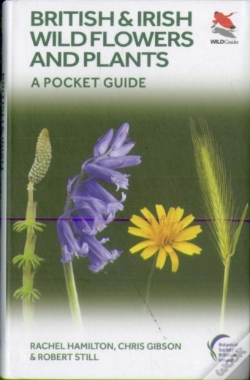 Capa do artigo British And Irish Wild Flowers And Plants