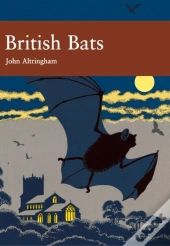 British Bats