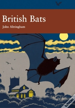 Capa do artigo British Bats