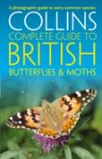 British Butterflies And Moths