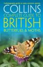 British Butterflies And Moths - Preview