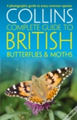 Capa do artigo British Butterflies And Moths