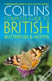 Capa do artigo British Butterflies And Moths