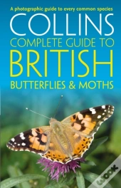 British Butterflies And Moths