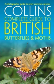 Capa do artigo British Butterflies And Moths