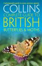 British Butterflies And Moths - Preview