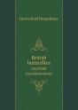 British Butterflies And Their Transformations - Preview