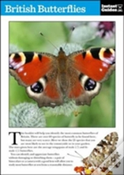 Capa do artigo British Butterflies