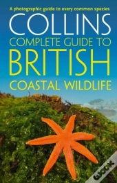 British Coastal Wildlife