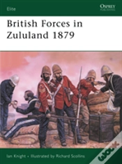 Capa do artigo British Forces In Zululand 1879