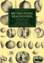 British Fossil Brachiopoda - Preview