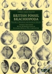 Capa do artigo British Fossil Brachiopoda