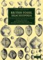 British Fossil Brachiopoda - Preview