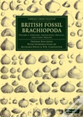 British Fossil Brachiopoda