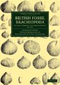 British Fossil Brachiopoda - Preview