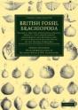 British Fossil Brachiopoda - Preview