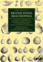 British Fossil Brachiopoda