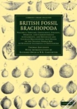 Capa do artigo British Fossil Brachiopoda