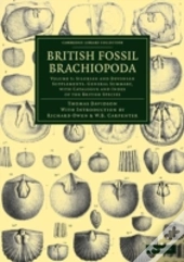 British Fossil Brachiopoda