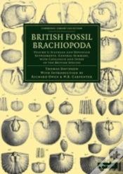 Capa do artigo British Fossil Brachiopoda