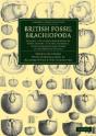 British Fossil Brachiopoda - Preview