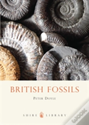 Capa do artigo British Fossils