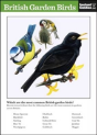 British Garden Birds - Preview