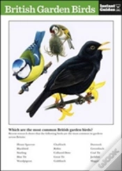 Capa do artigo British Garden Birds