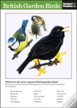 Capa do artigo British Garden Birds