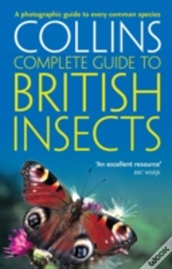 Capa do artigo British Insects