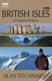 Capa do artigo British Isles