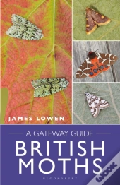 British Moths