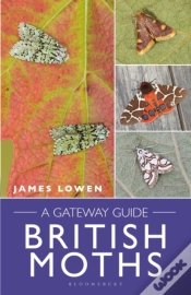 Capa do artigo British Moths