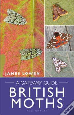 Capa do artigo British Moths