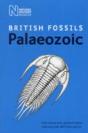 British Palaeozoic Fossils - Preview