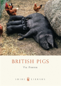 British Pigs - Preview