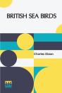 British Sea Birds - Preview