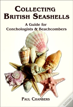 Capa do artigo British Seashells