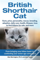 British Shorthair Cat
