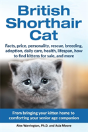 British Shorthair Cat - Preview