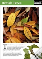 Capa do artigo British Trees