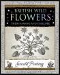British Wild Flowers - Preview