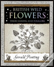 Capa do artigo British Wild Flowers